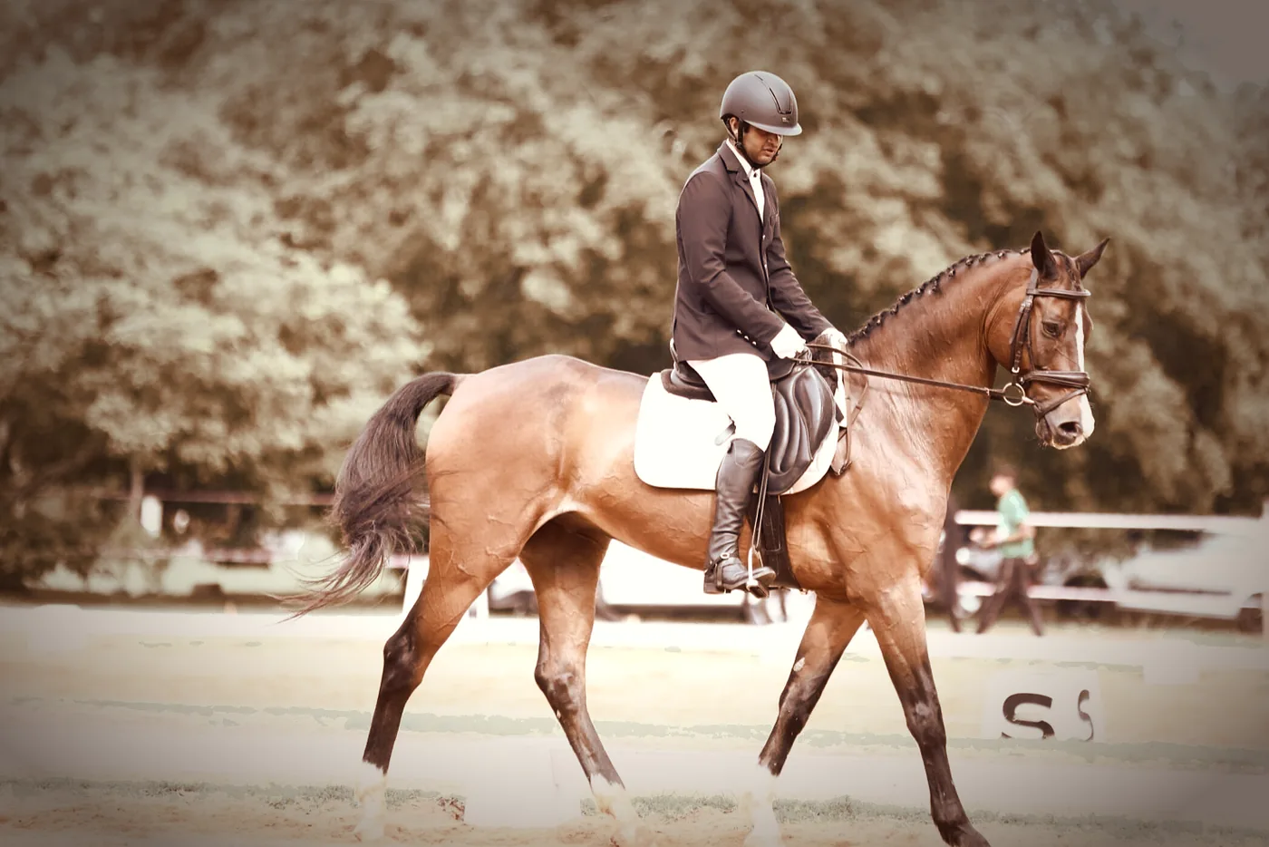 A rider working a bay horse on the flat at Kings Equestrian