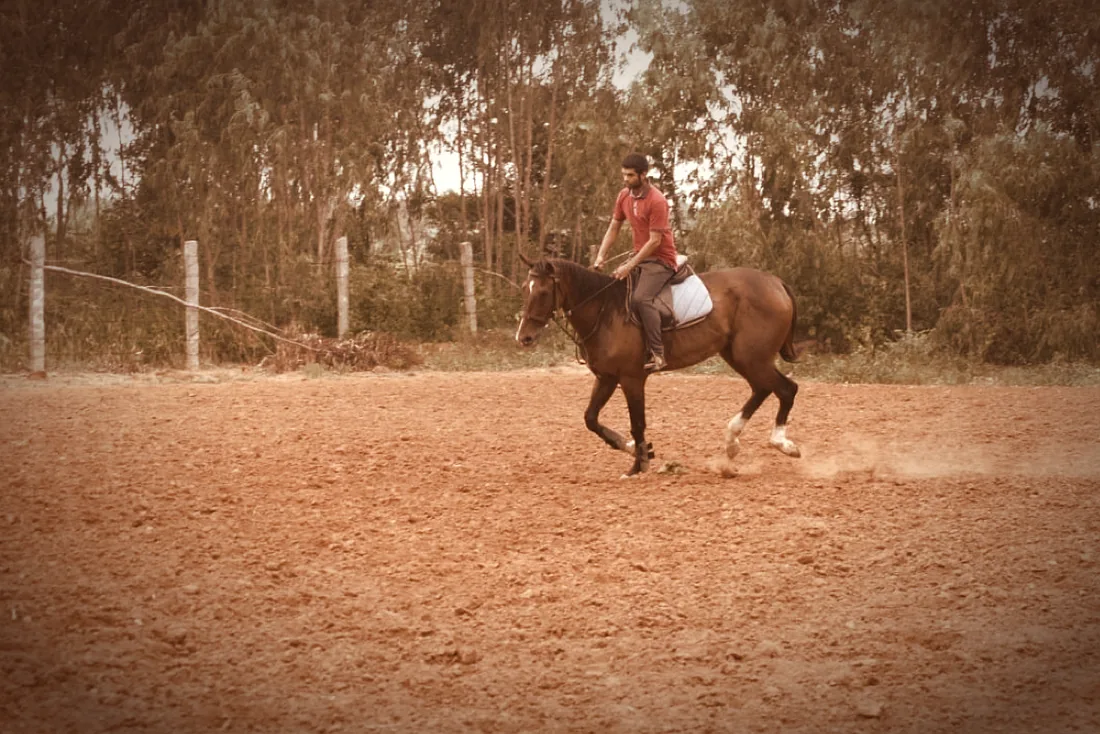 A horse and rider working alone on the red-earth arena at Kings Equestrian
