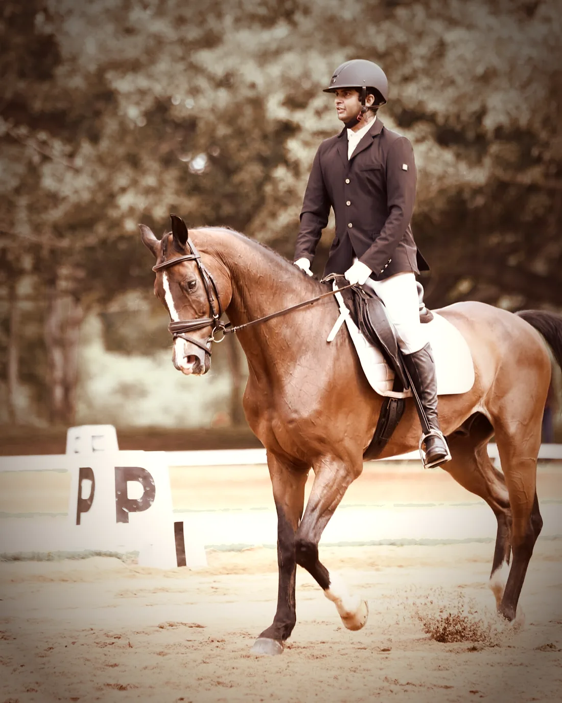 A rider at rising trot in the sand arena at Kings Equestrian